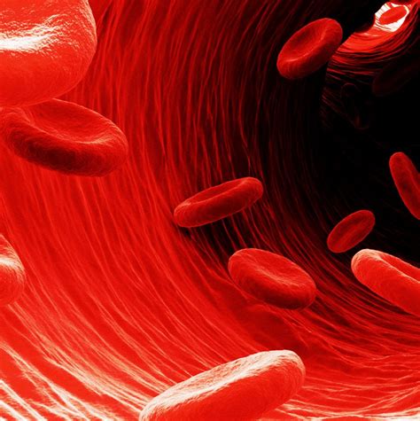 valori crescute ale globulelor albe din sânge, din cauza prostatitei la bărbați